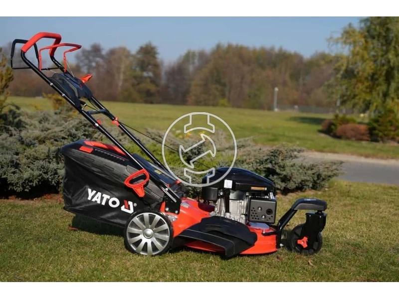 Kép: 101611169_17.webp