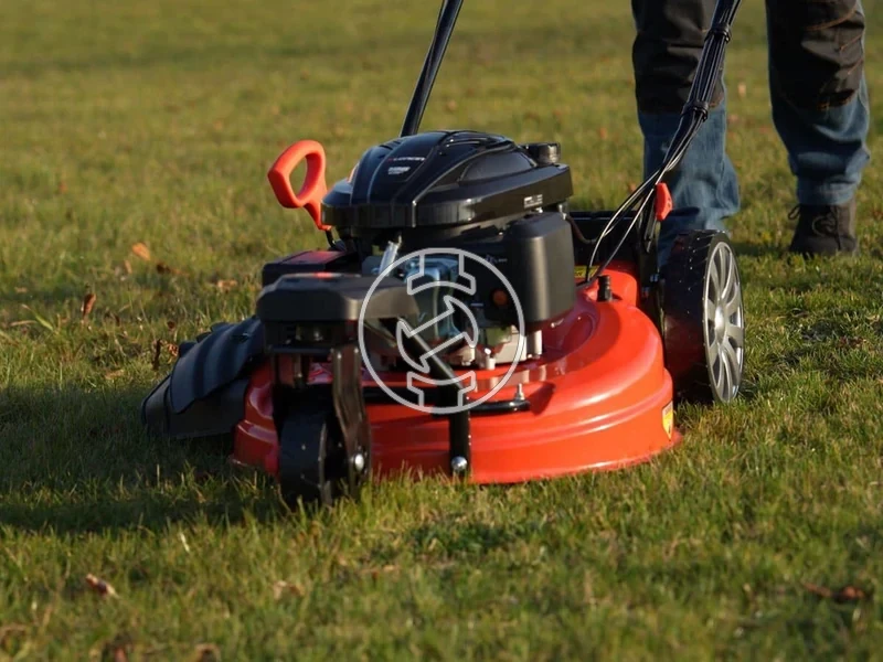 Kép: 101611169_20.webp