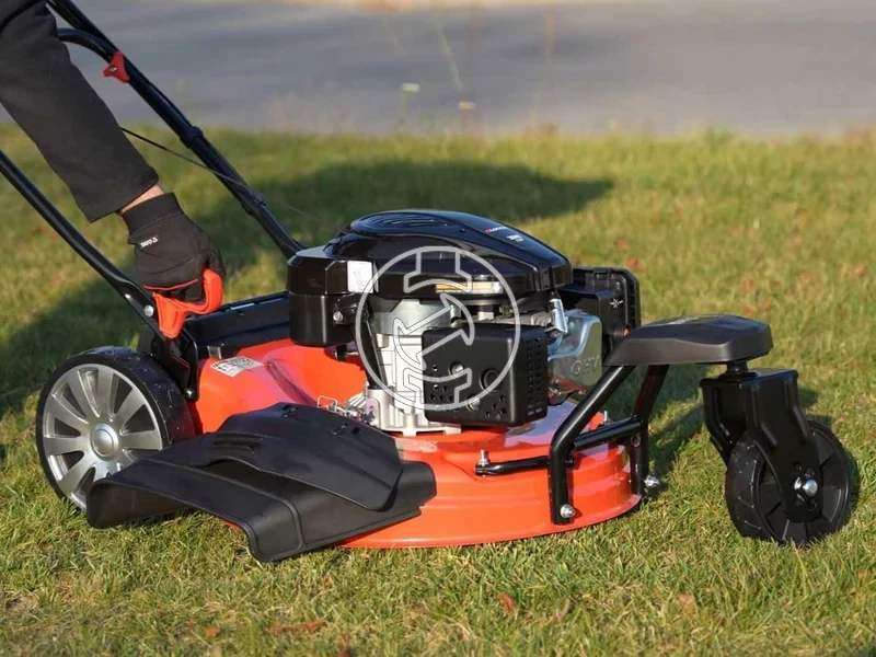 Kép: 101611169_22.webp