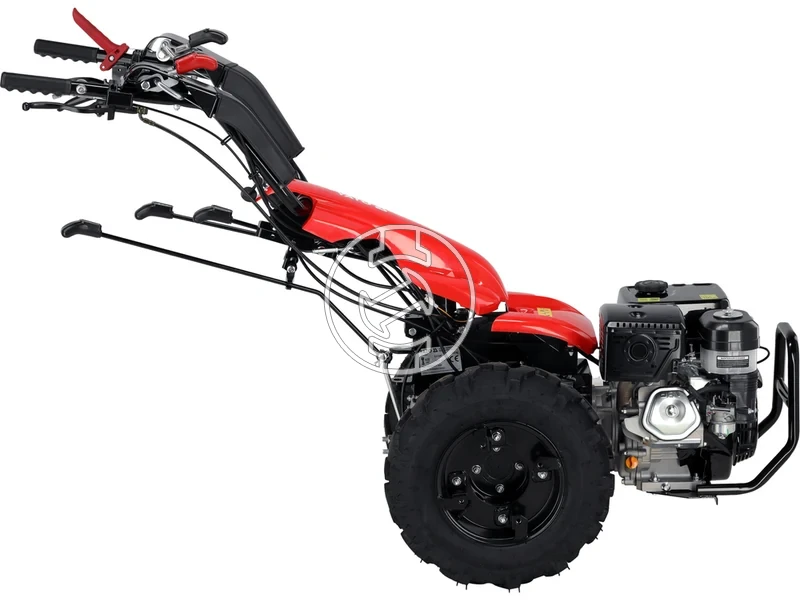 Kép: 101611185_3.webp