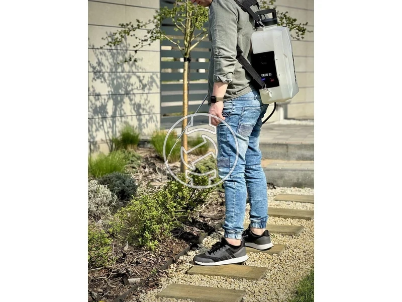 Kép: 101611192_11.webp