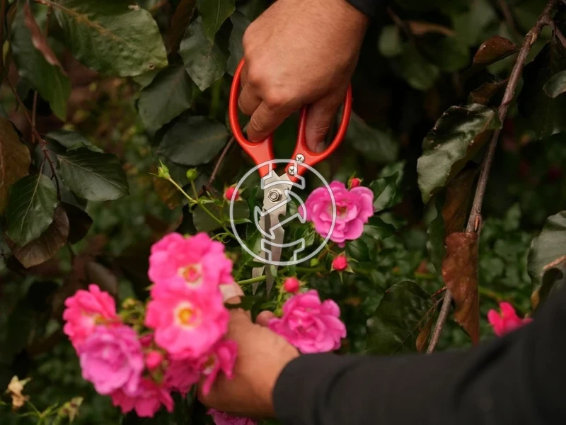 Kép: 105010344_4.webp