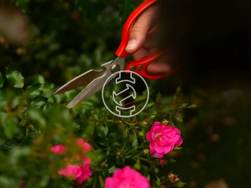 Kép: 105010344_5.webp