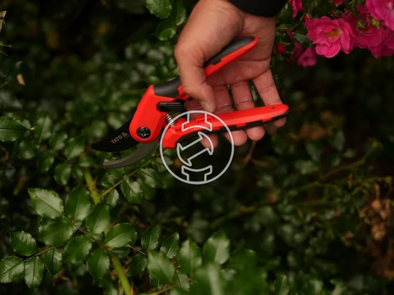 Kép: 105010345_5.webp