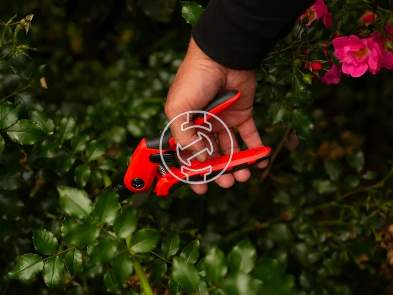 Kép: 105010345_6.webp