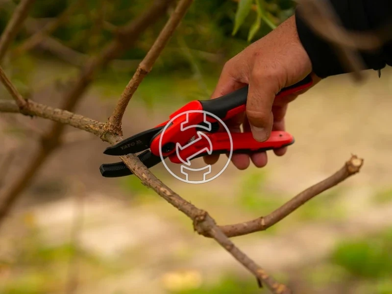 Kép: 105010346_5.webp