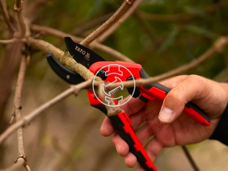 Kép: 105010346_6.webp