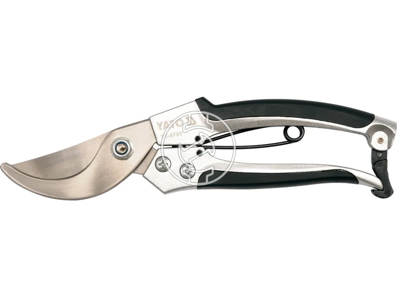 Kép: 105010347.webp