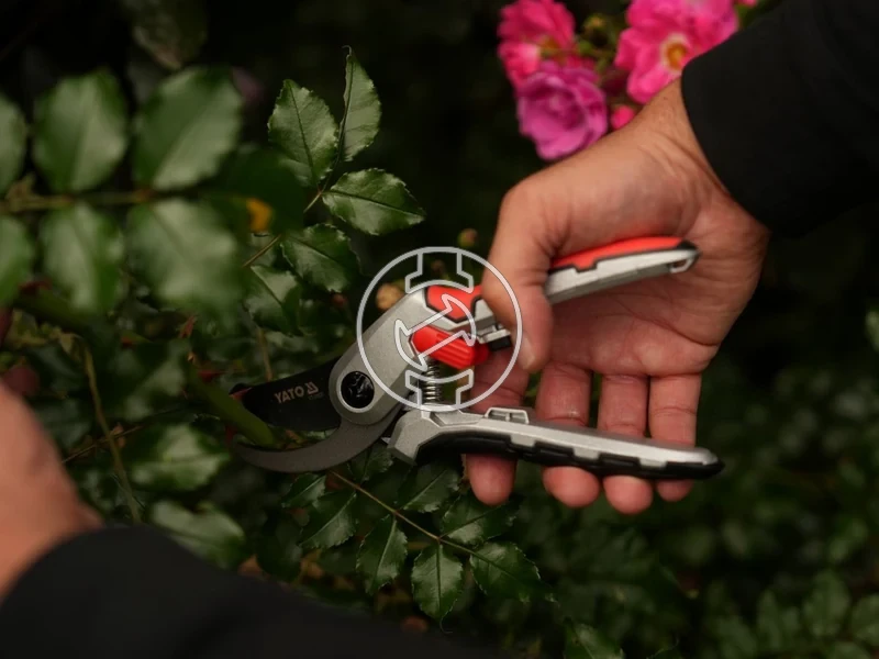 Kép: 105010351_6.webp