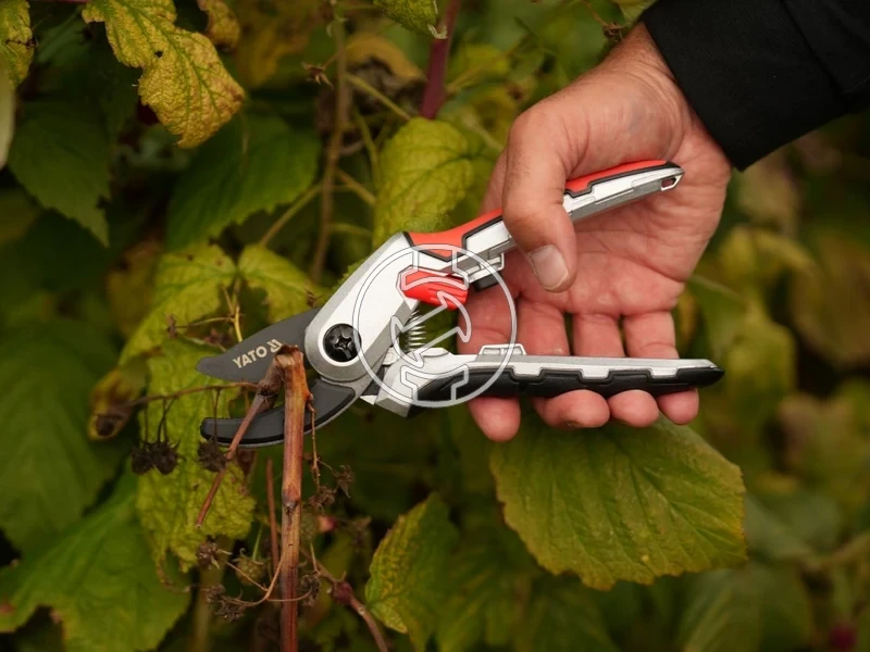 Kép: 105010352_5.webp