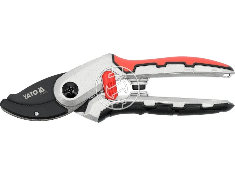 Kép: 105010352.webp