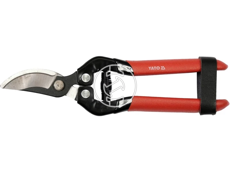 Kép: 105010353.webp