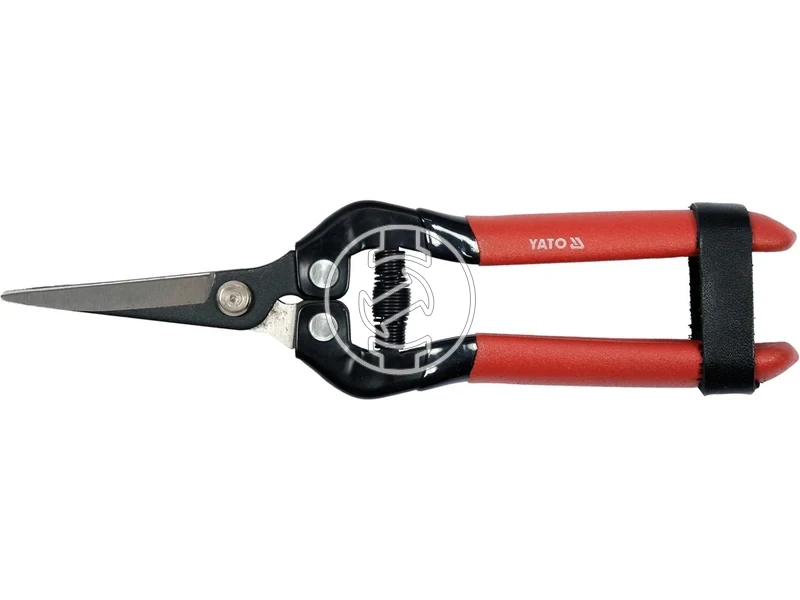 Kép: 105010355.webp