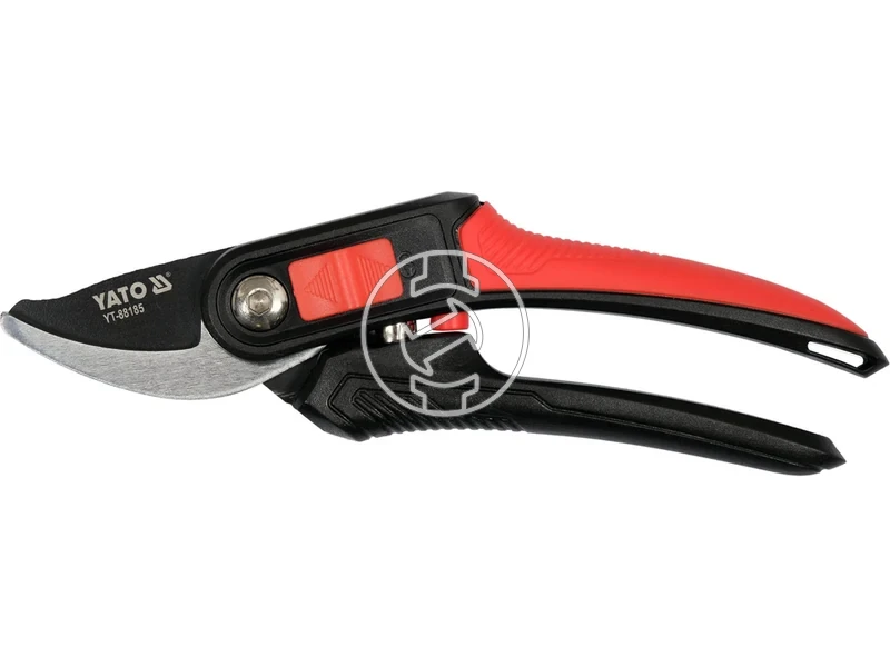 Kép: 105010359.webp