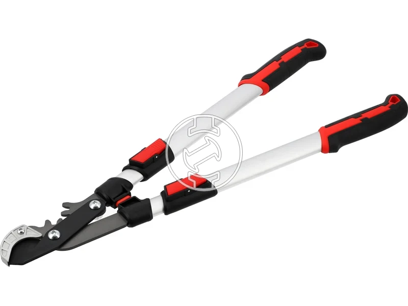 Kép: 105010363_3.webp