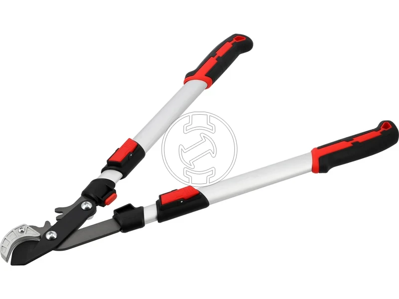 Kép: 105010363_4.webp