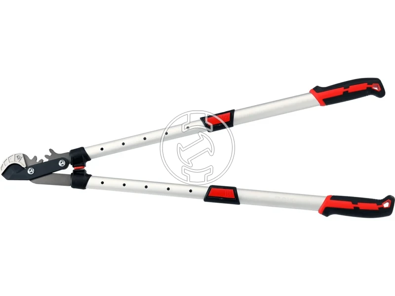 Kép: 105010363_5.webp