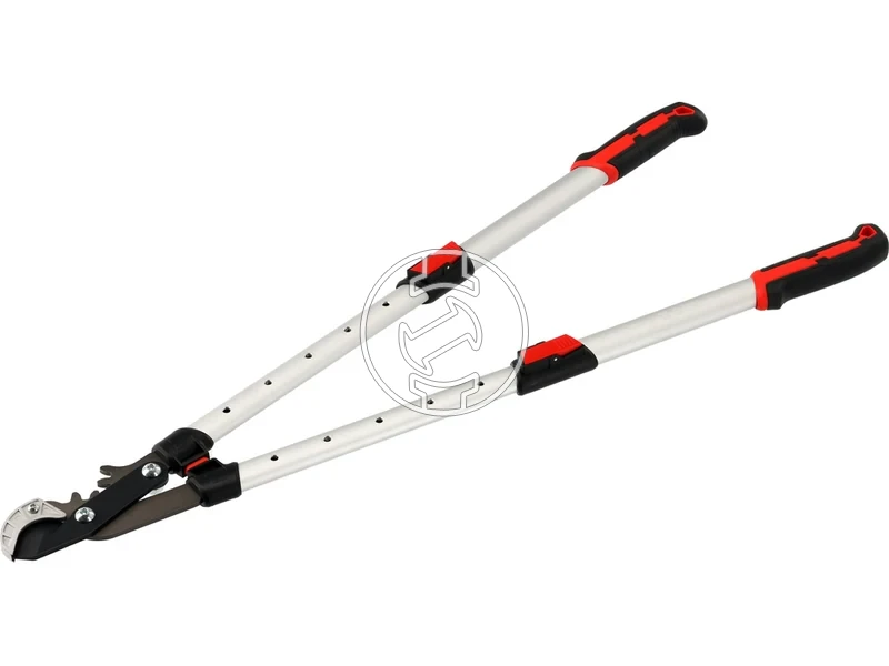 Kép: 105010363_6.webp