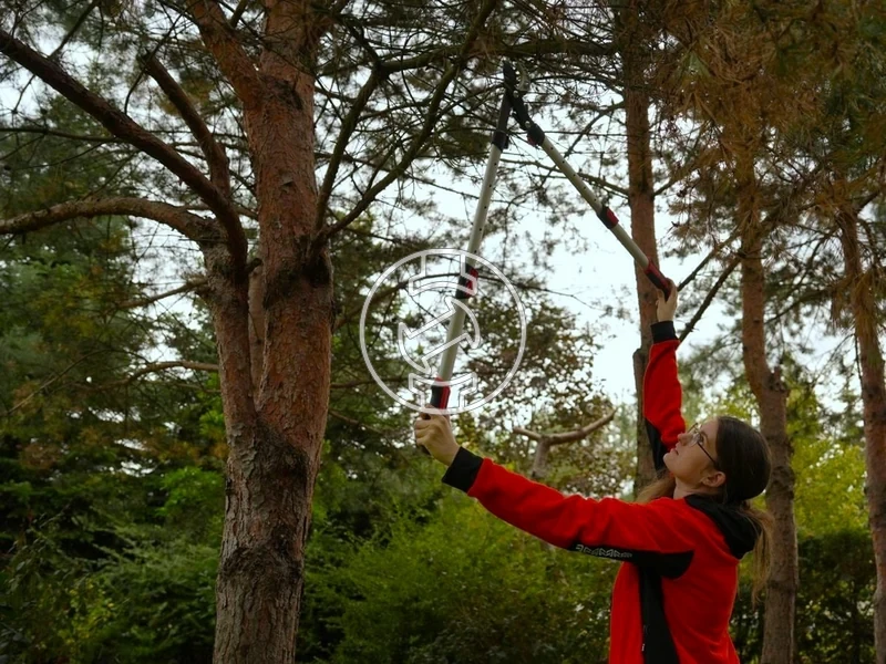 Kép: 105010363_7.webp