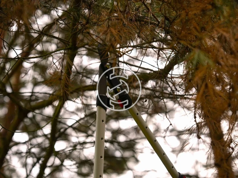 Kép: 105010363_8.webp