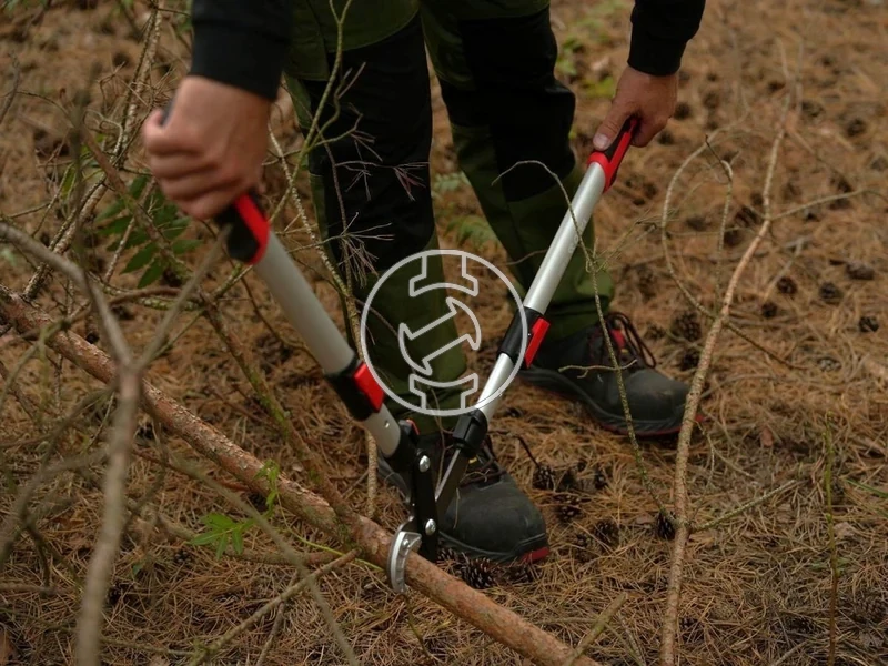 Kép: 105010363_9.webp