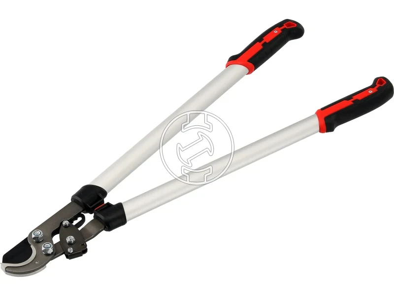 Kép: 105010364_3.webp