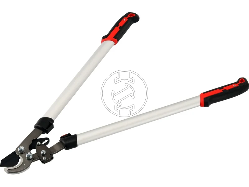 Kép: 105010364_4.webp