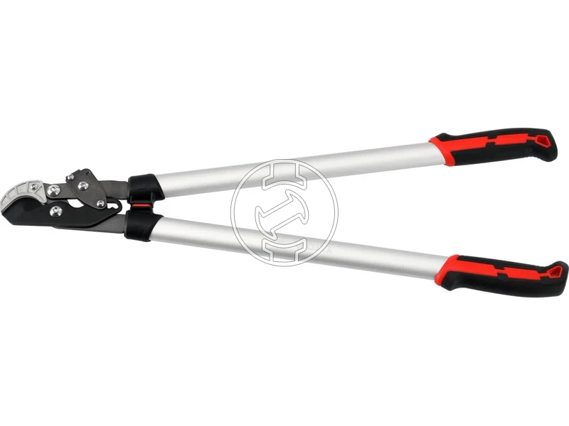 Kép: 105010364.webp