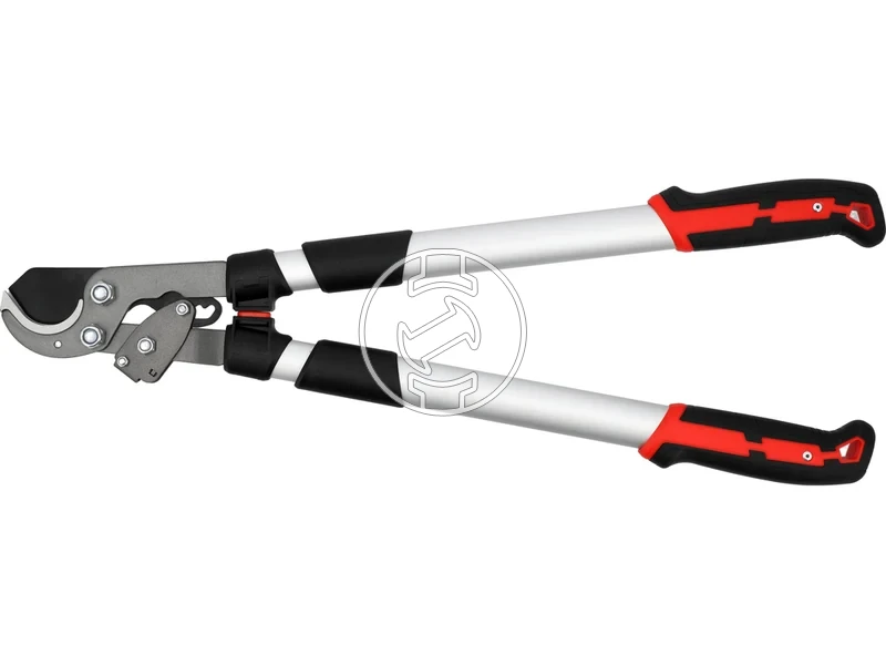 Kép: 105010365_1.webp