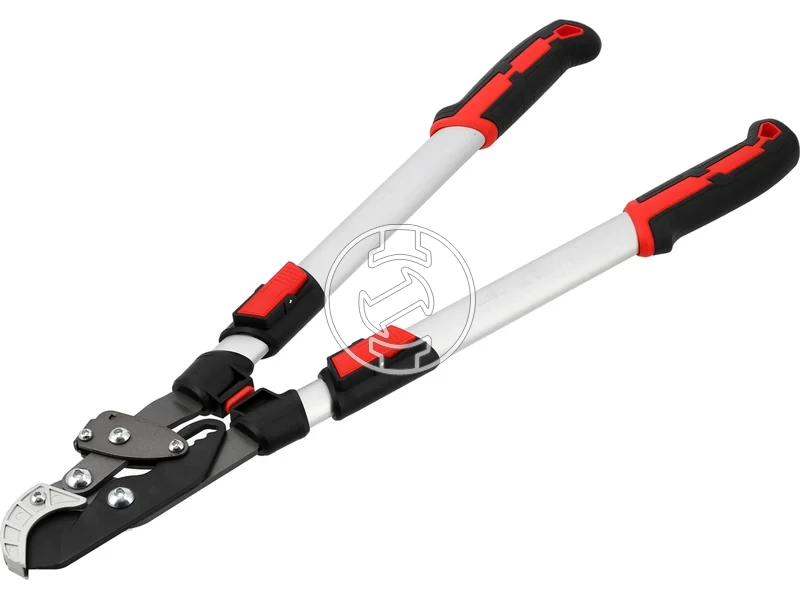 Kép: 105010365_3.webp