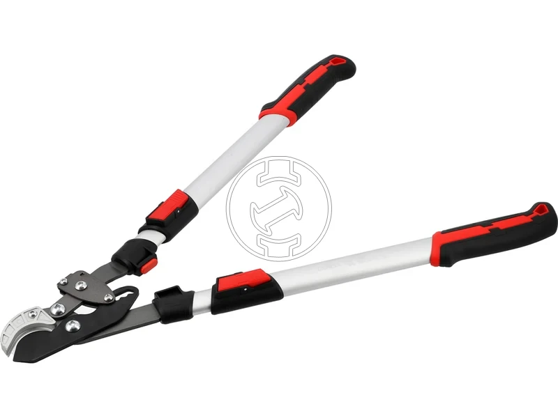 Kép: 105010365_4.webp