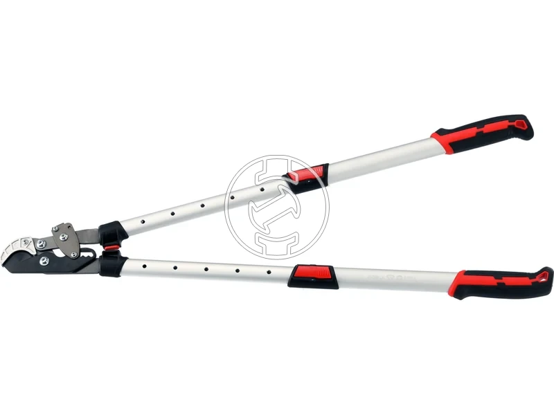 Kép: 105010365_5.webp