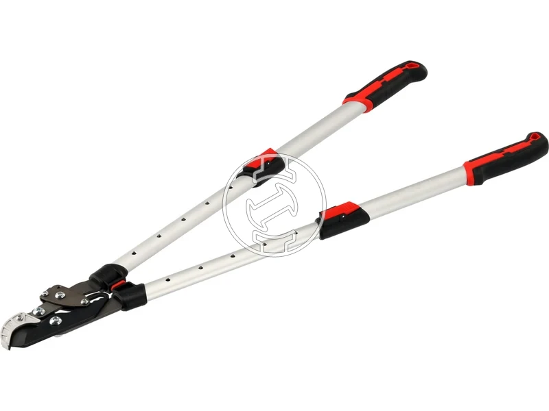 Kép: 105010365_6.webp