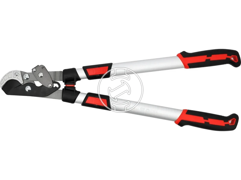 Kép: 105010365.webp