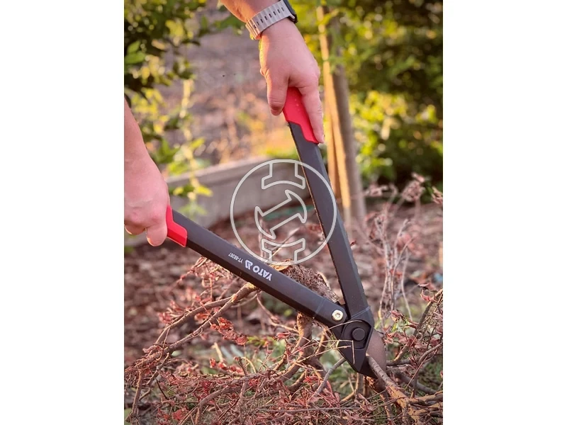 Kép: 105010366_5.webp