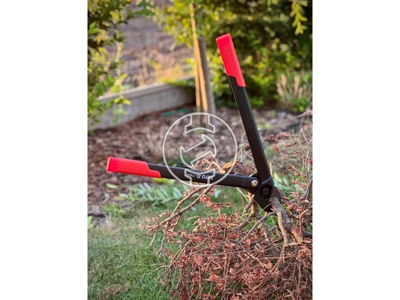 Kép: 105010366_6.webp