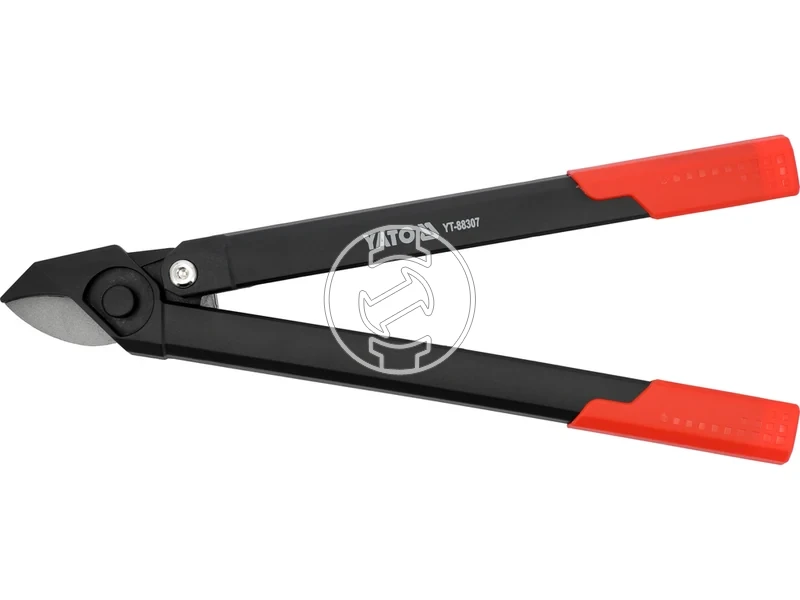 Kép: 105010366.webp