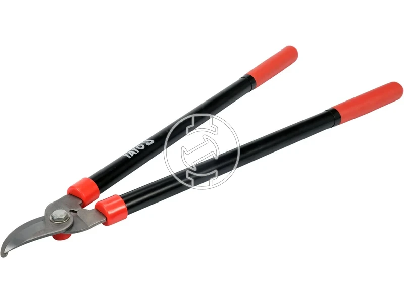 Kép: 105010367.webp