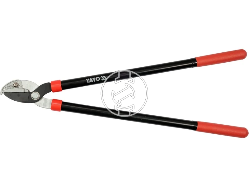 Kép: 105010368.webp