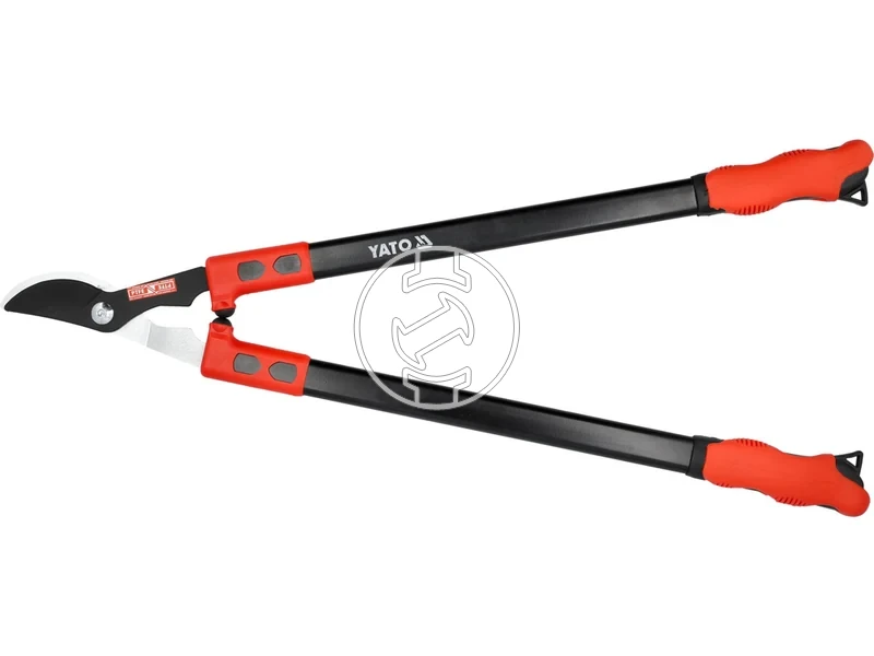 Kép: 105010369.webp