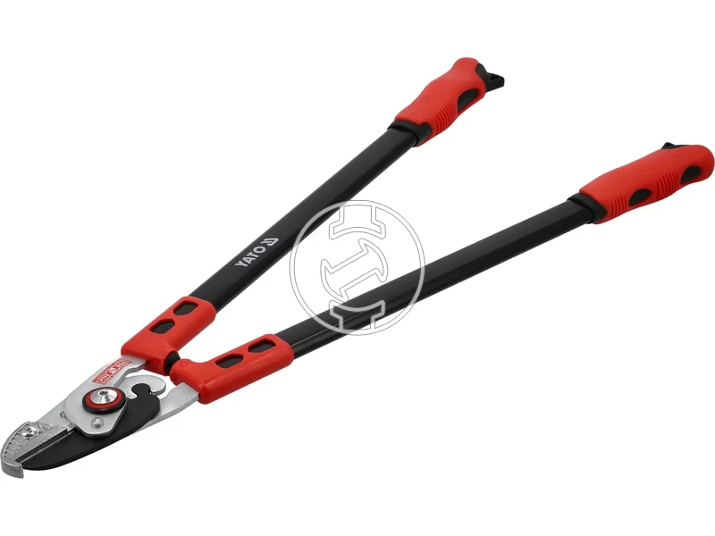 Kép: 105010370_3.webp