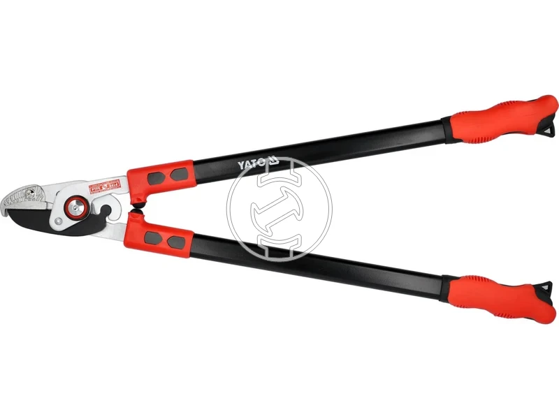 Kép: 105010370.webp