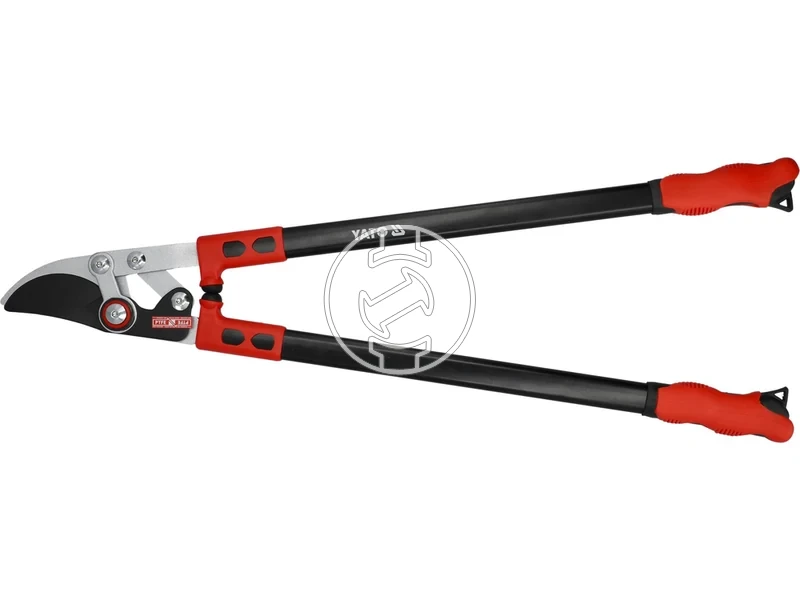 Kép: 105010371.webp