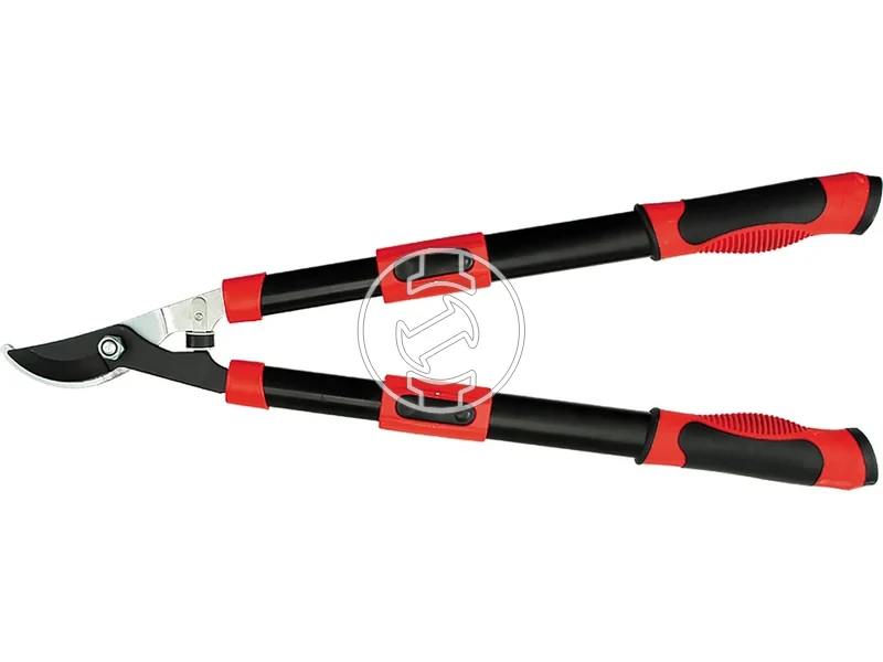 Kép: 105010374.webp