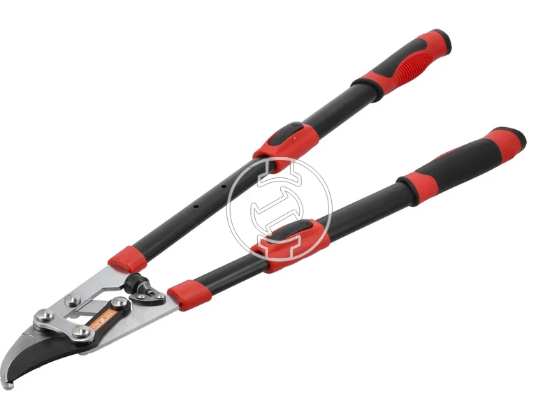 Kép: 105010375_2.webp