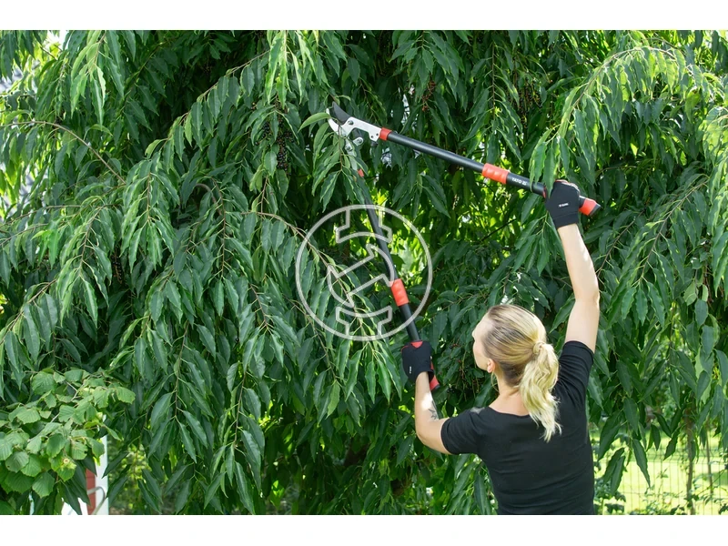 Kép: 105010375_6.webp