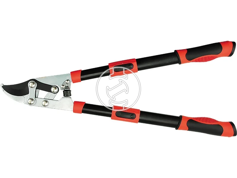 Kép: 105010375.webp