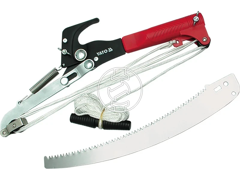 Kép: 105010383.webp