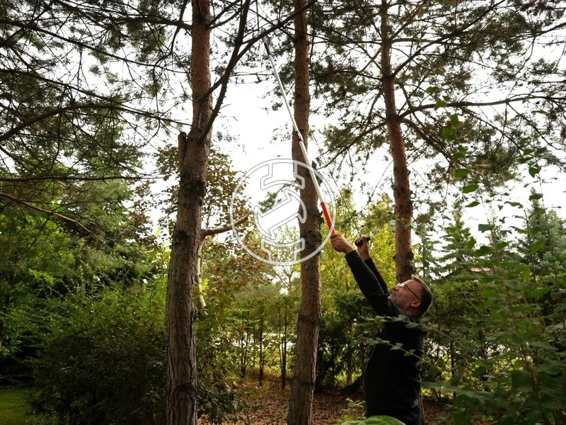 Kép: 105010384_7.webp