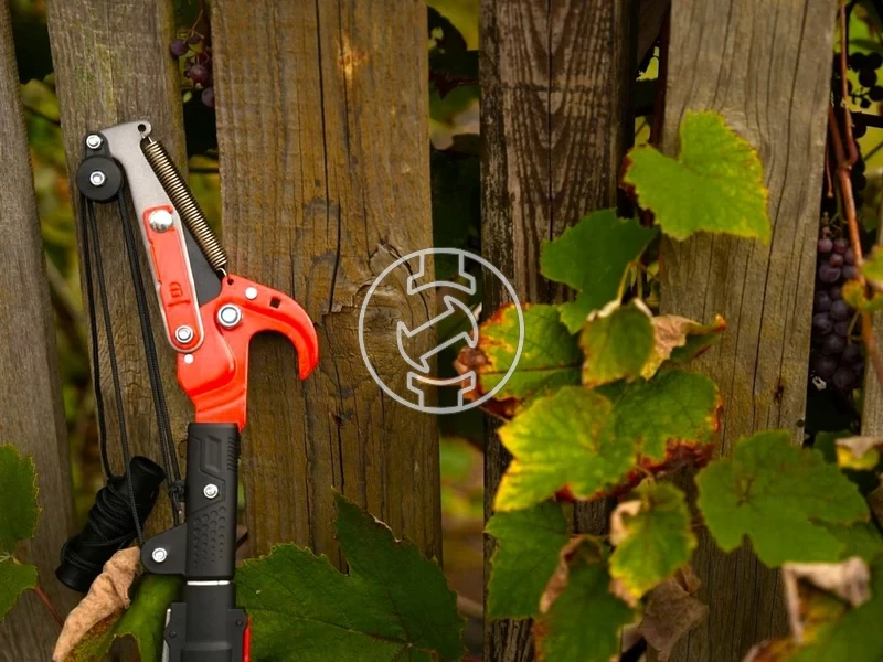 Kép: 105010384_8.webp